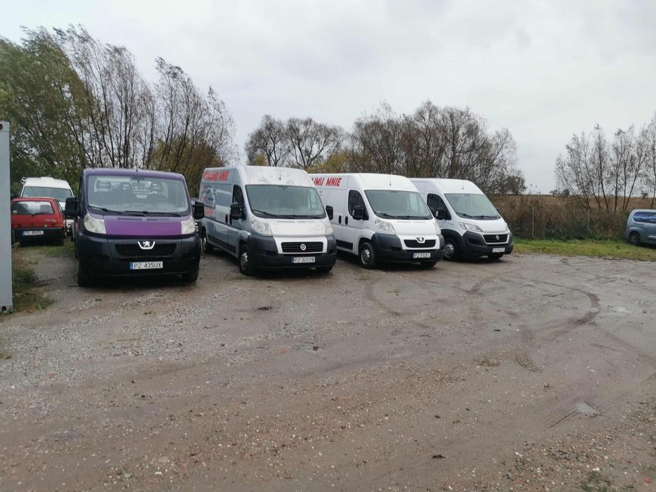 Wynajem aut busy busów wypożyczalnia aut