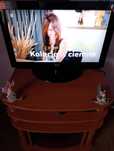 Telewizor firmy LG LCD 26 cali