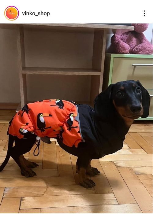 Одяг для собак, жилет зимовий для такси