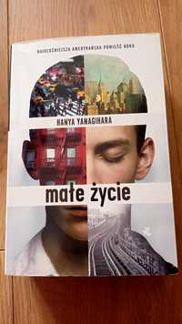 Małe życie yanagihara