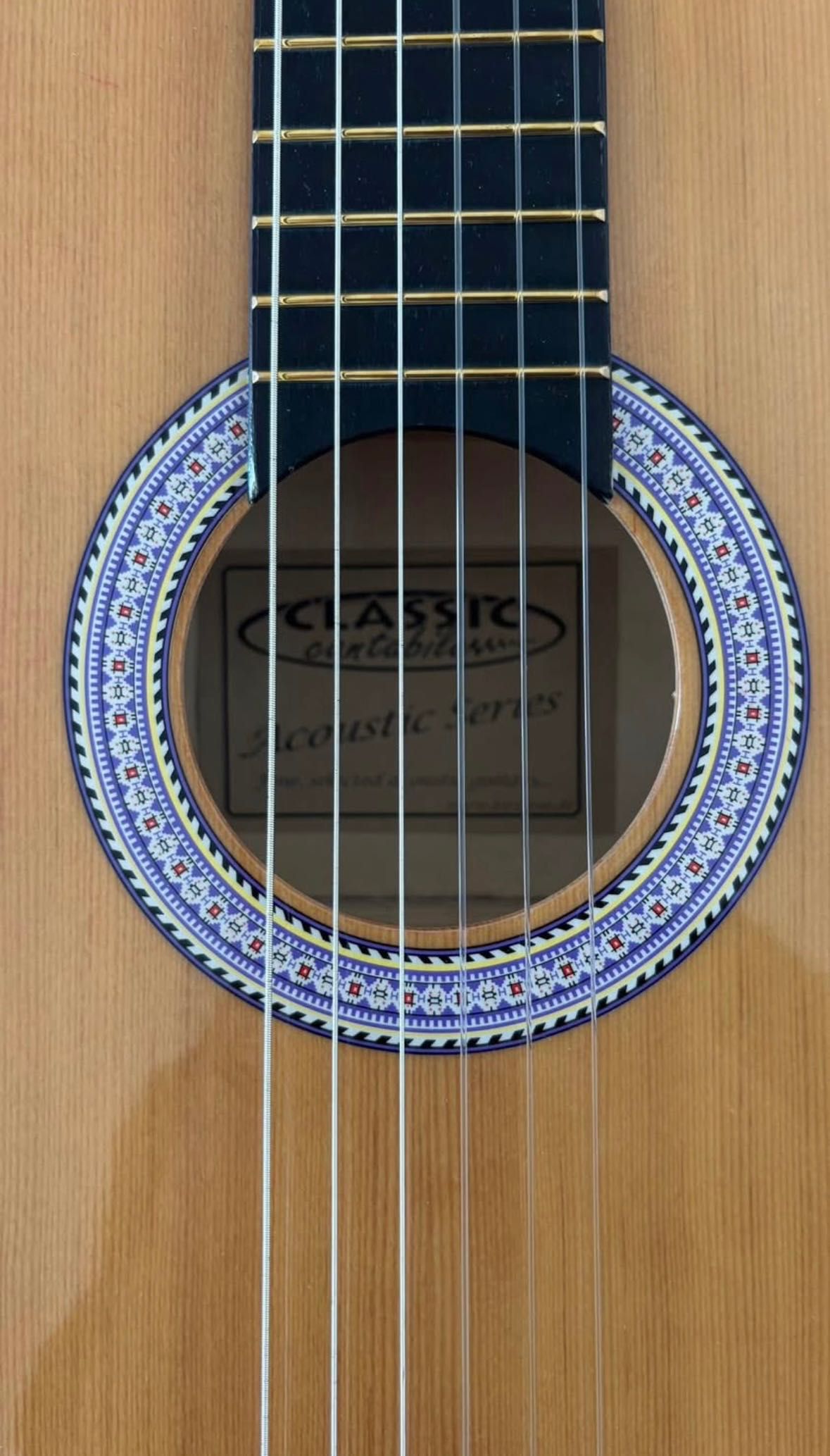 Acoustic Guitar with renewed strings