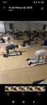 Pilates Clássico ao domicílio