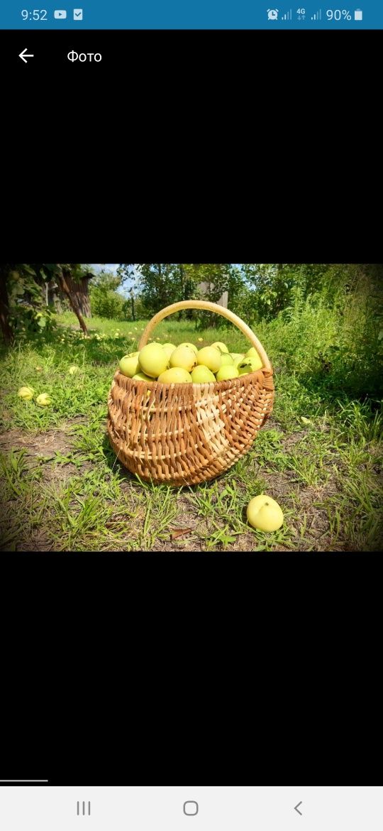 Кошик із лози Великодній кошик, для грибів, для декору
Великодній коши