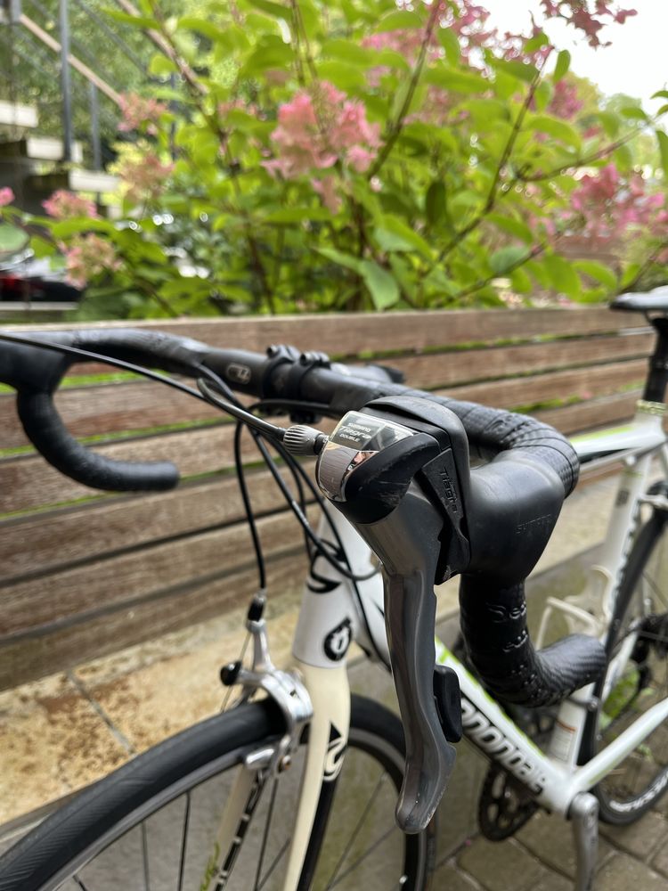 cannondale caad 8