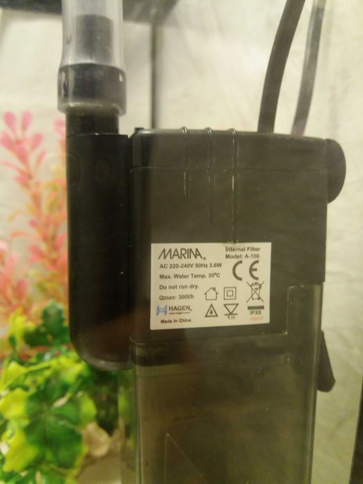 KIT Aquário pronto a usar