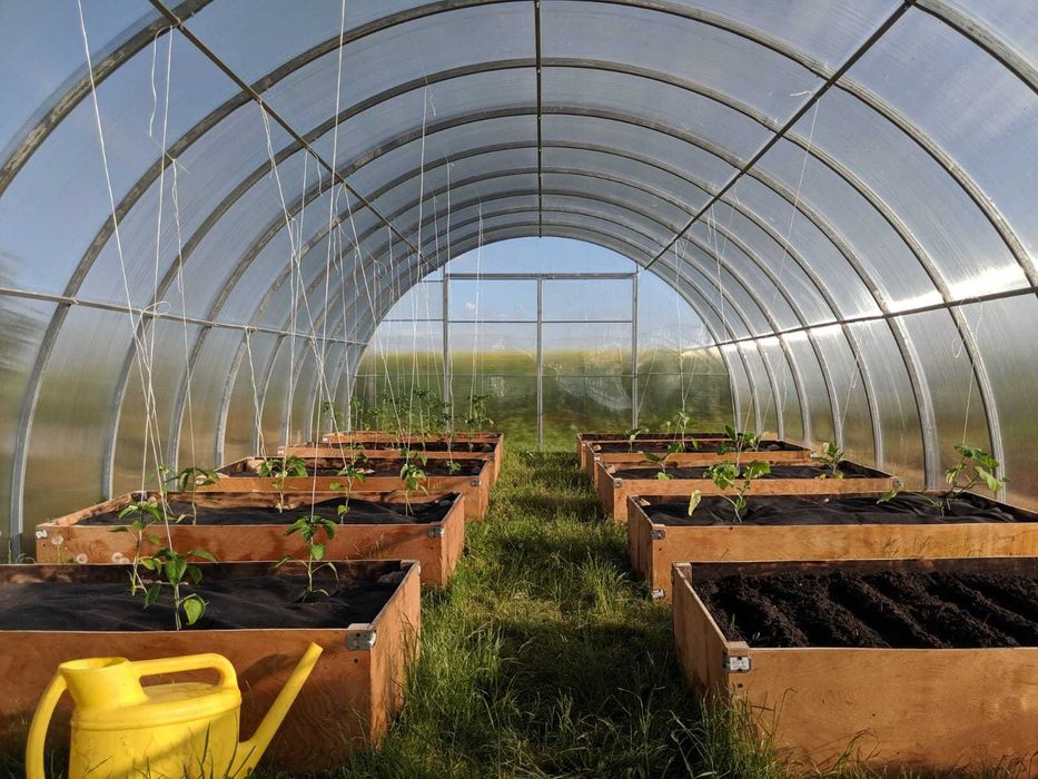 Szklarnia Tunel 4x4m, 6m, 8m, 10m, 12m z poliwęglanu 6mm, prof 40x20mm