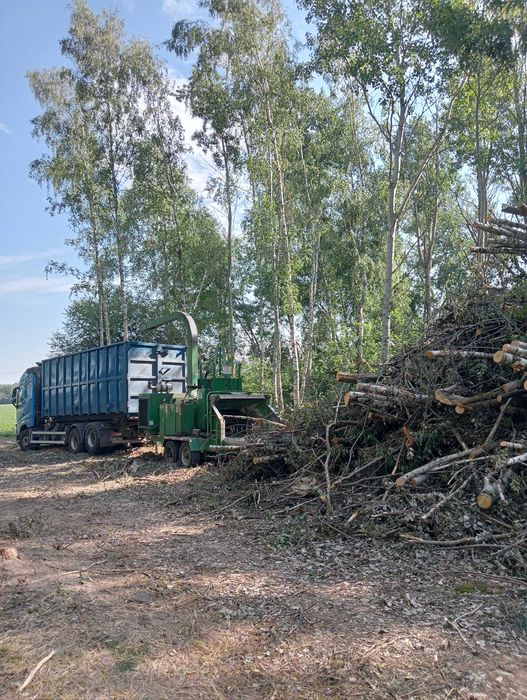 Wycinka drzew w zamian za material, czyszczenie dzialek