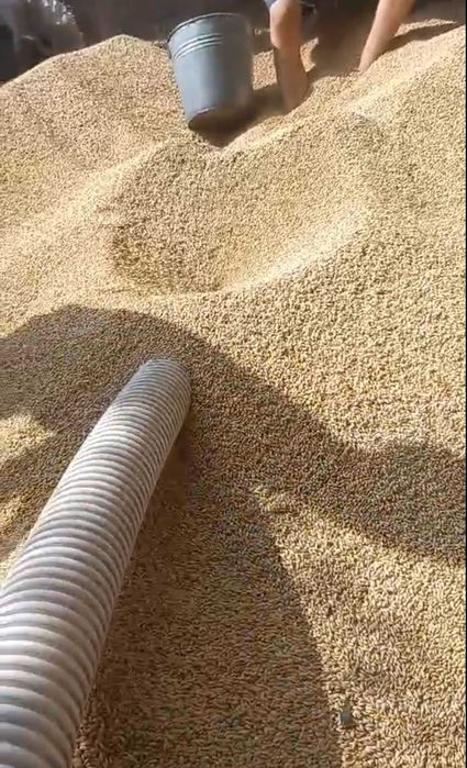 Купити шнек для погрузки зерна гибкий шнек купить купити шнек гнучкий