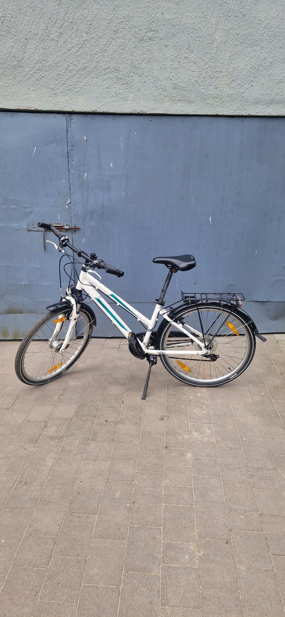 Pegasus Avanti Kid 26"