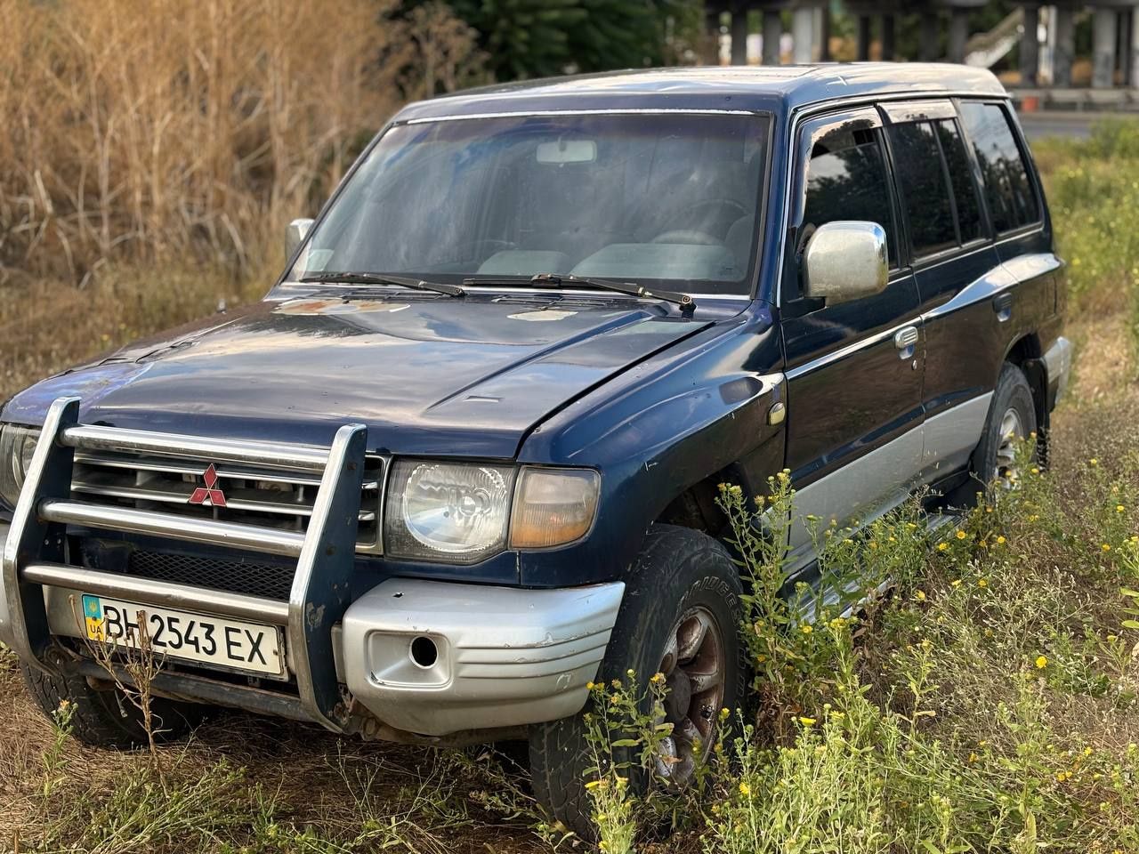 Mitsubishi Pajero Wagon 2