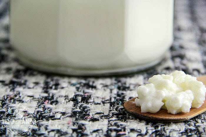 Grãos de Kefir de leite/ aprx. 40g de grãos