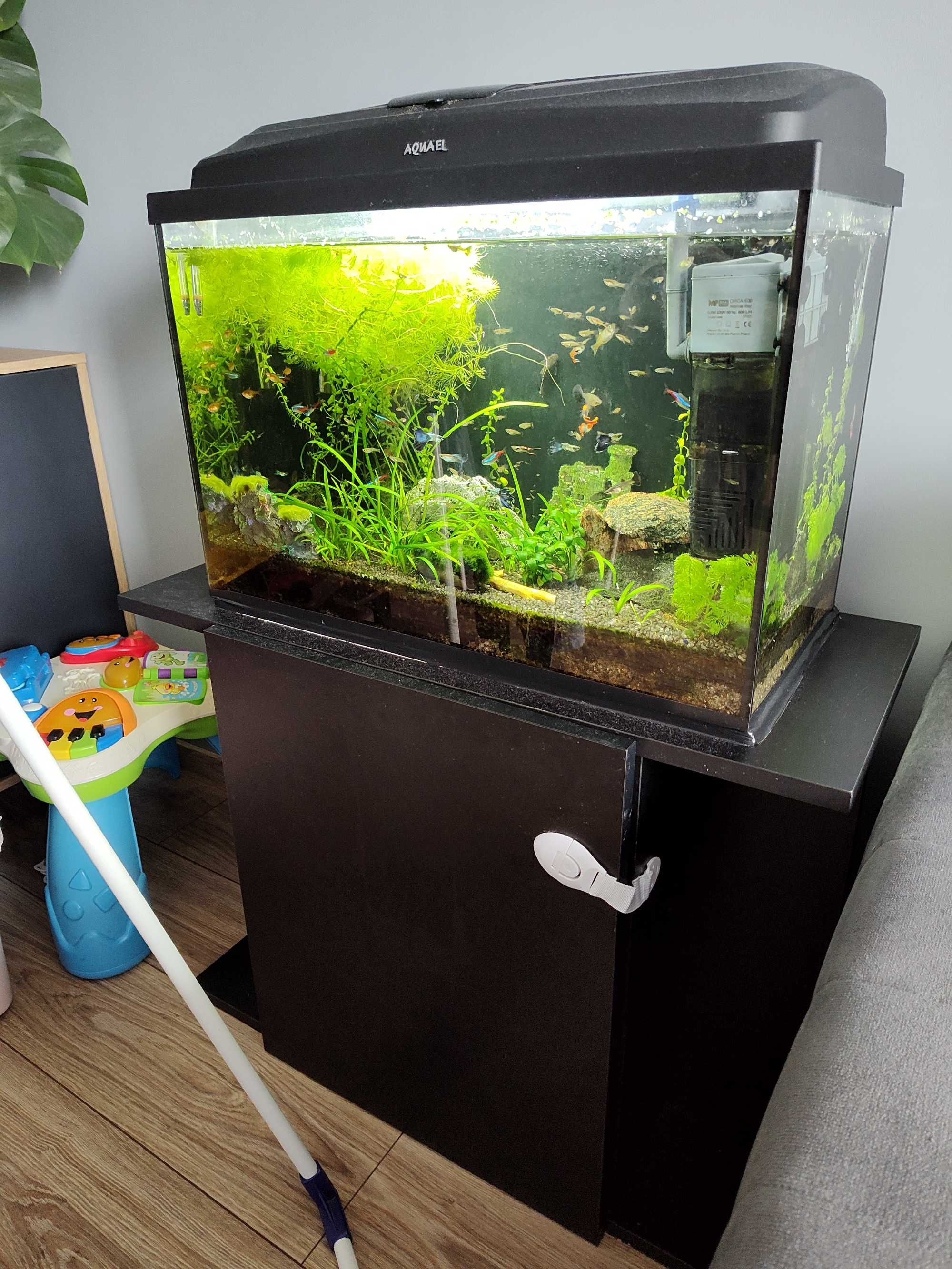 Akwarium 70L + szafka
