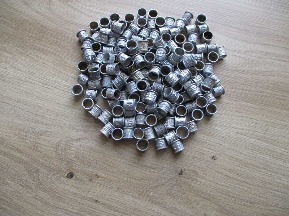 obrączki dla gołębi