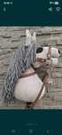 Hobby Horse A5 GRATIS sprzęt