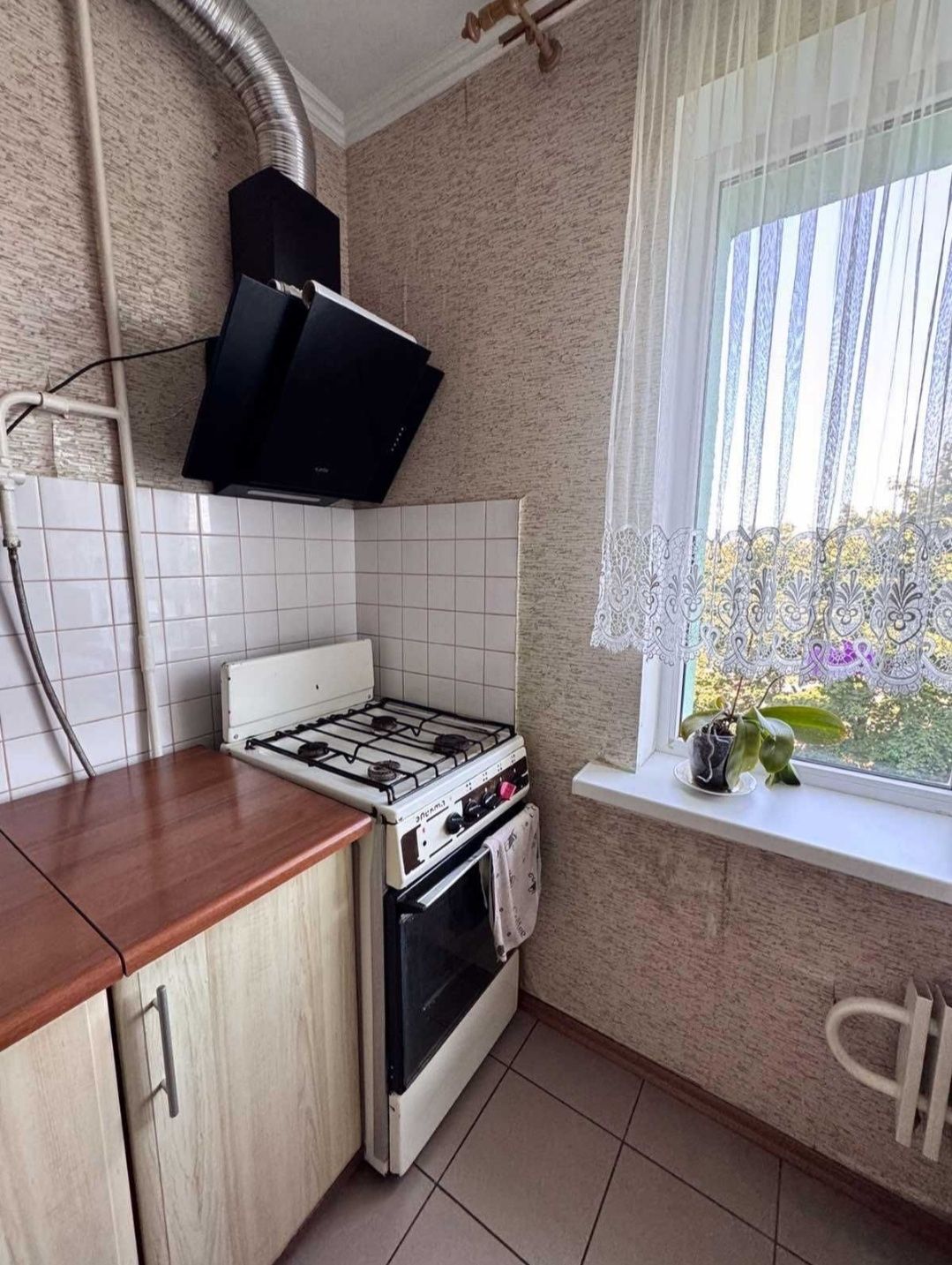 Здам в оренду 1 кімнатну квартиру. Центр