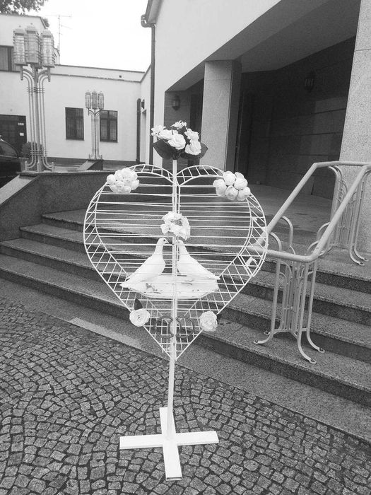 Białe gołębie na ślub