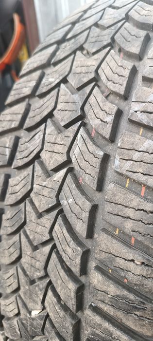 Dębica Frigo 2HP Opony i Felgi