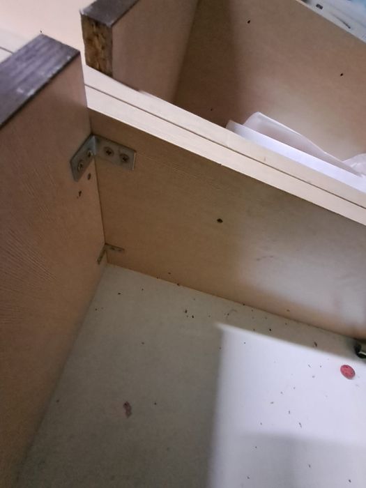 Grzebak, mebel, sorter do sklepu