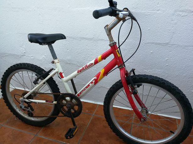 Bicicleta Criança/Jovem