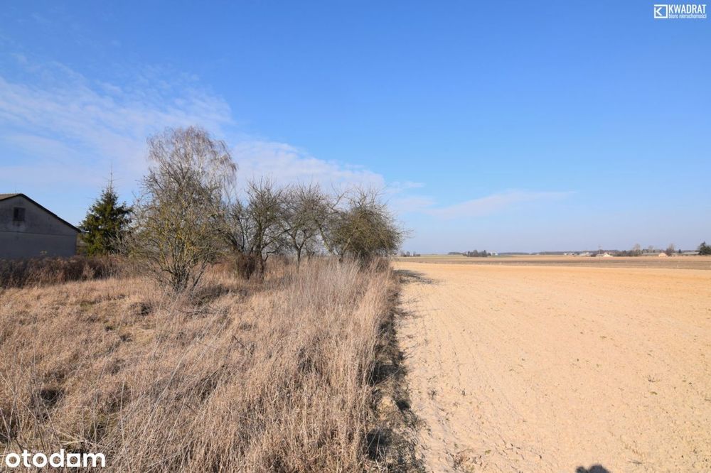 Janowice/ prawie 2 hektary/ siedlisko