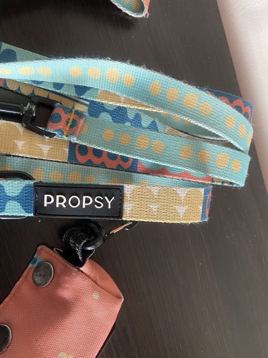 Propsy i trixe - smycz, szelki, kupownik i smycz do auta. Maly piesek