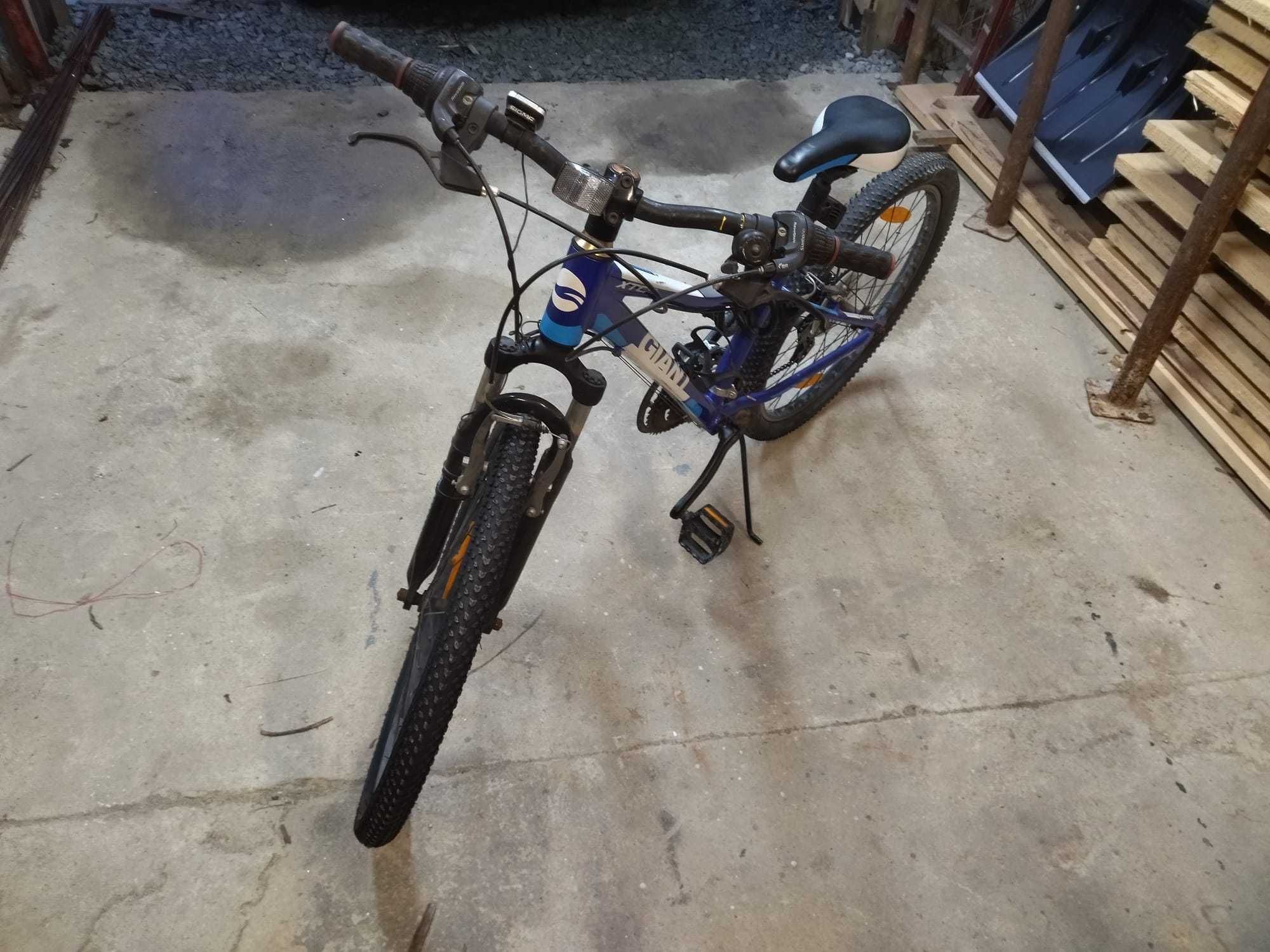 Rower giant xtc jr 24