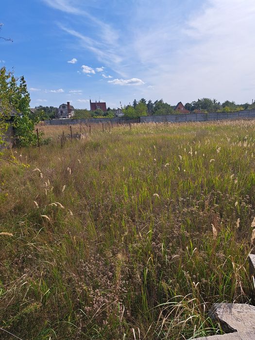 Участок Боромыки на берегу Десны