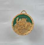Shrek gold medalion 2008