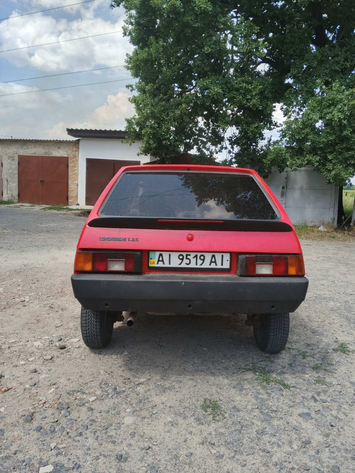 Zaza tavria nova