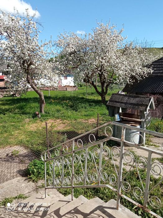 Продається житловий будинок