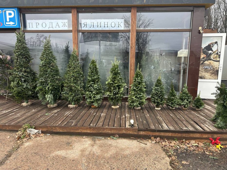 Ялинки плетені карпатські