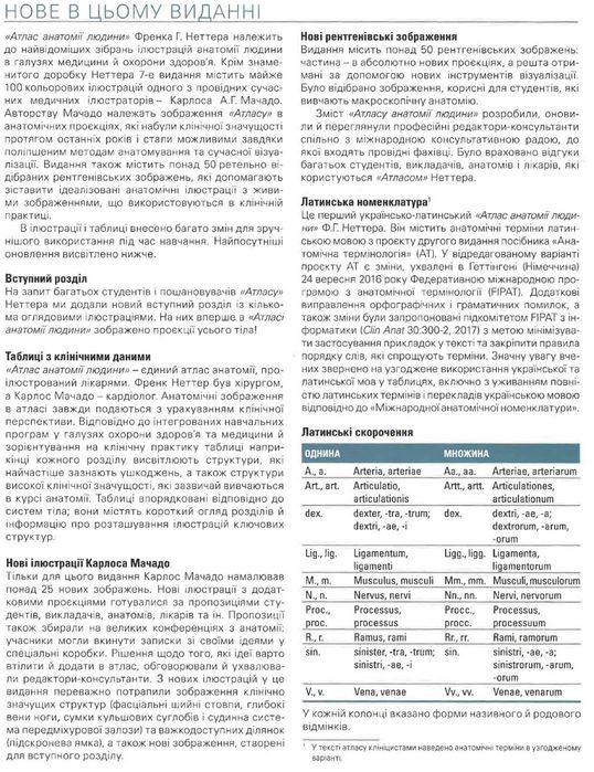 Атлас анатомії людини 2023. 7 видання. Неттер. Анатомия. Нормальная.