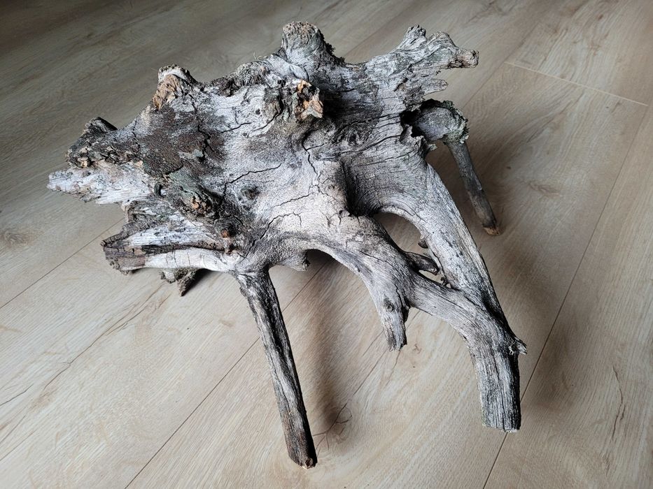 naturalny duży korzeń do akwarium terrarium dł. 42 cm