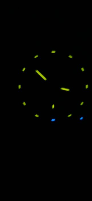 Traser  годинник