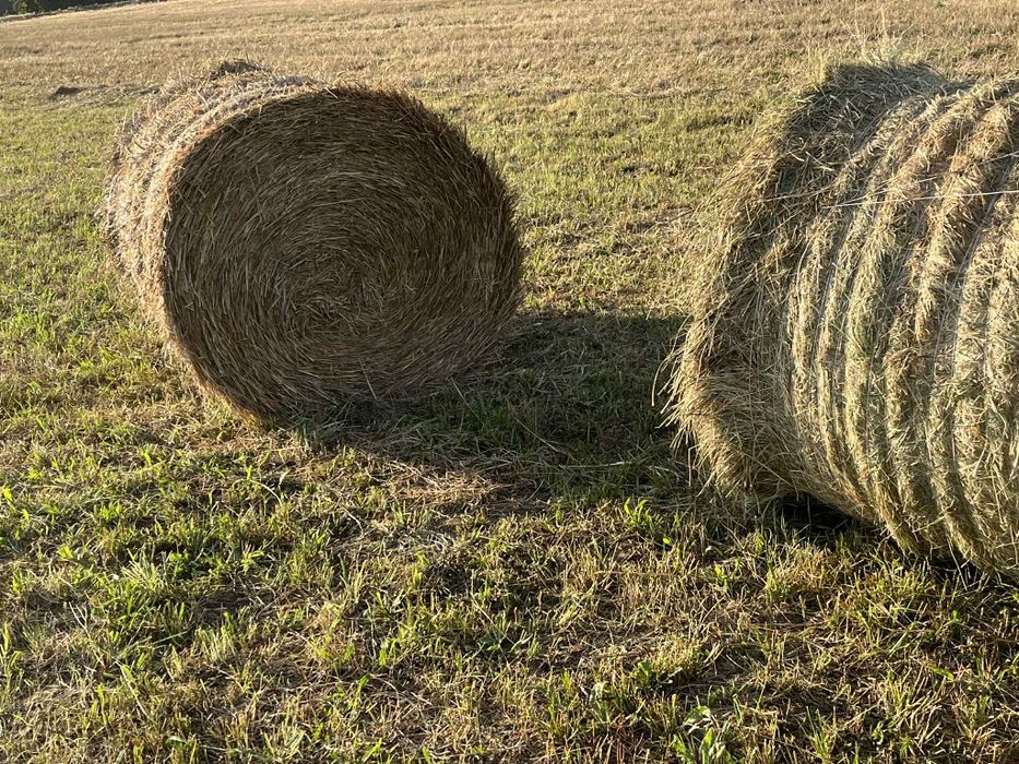 Sprzedam słomę z 29.08.2025