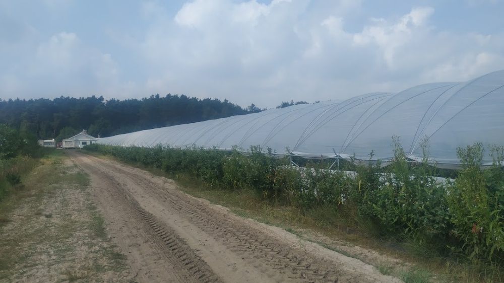 EkoTunele tunel foliowy - mamy także nietypowe tunele foliowe do upraw