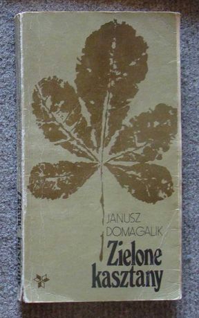 Pakiet książek dla młodzieży - głównie stare, dobre tytuły