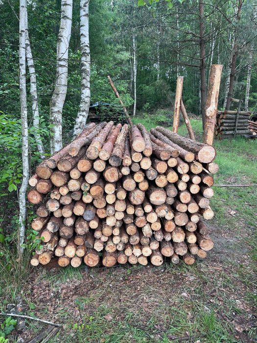 Nowe  stemple drewniane słupki do siatki.  6 zł