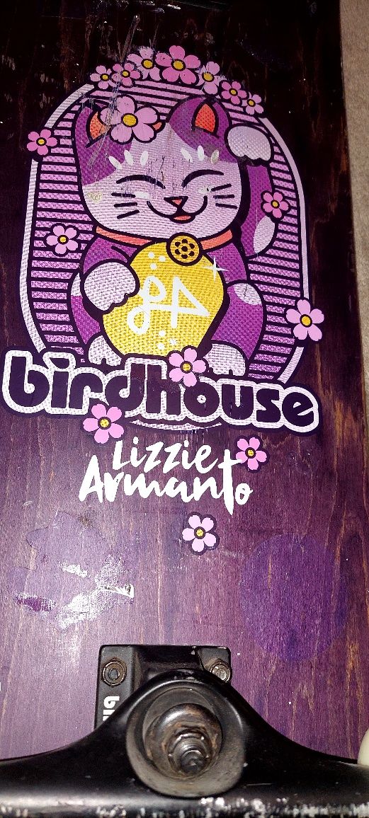 Skate  birdhouse