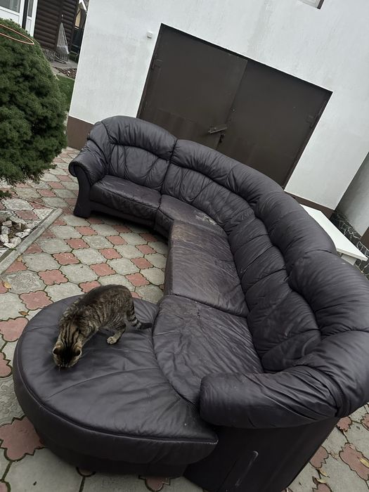 Диван шкіряний довжина 3,5  б/у