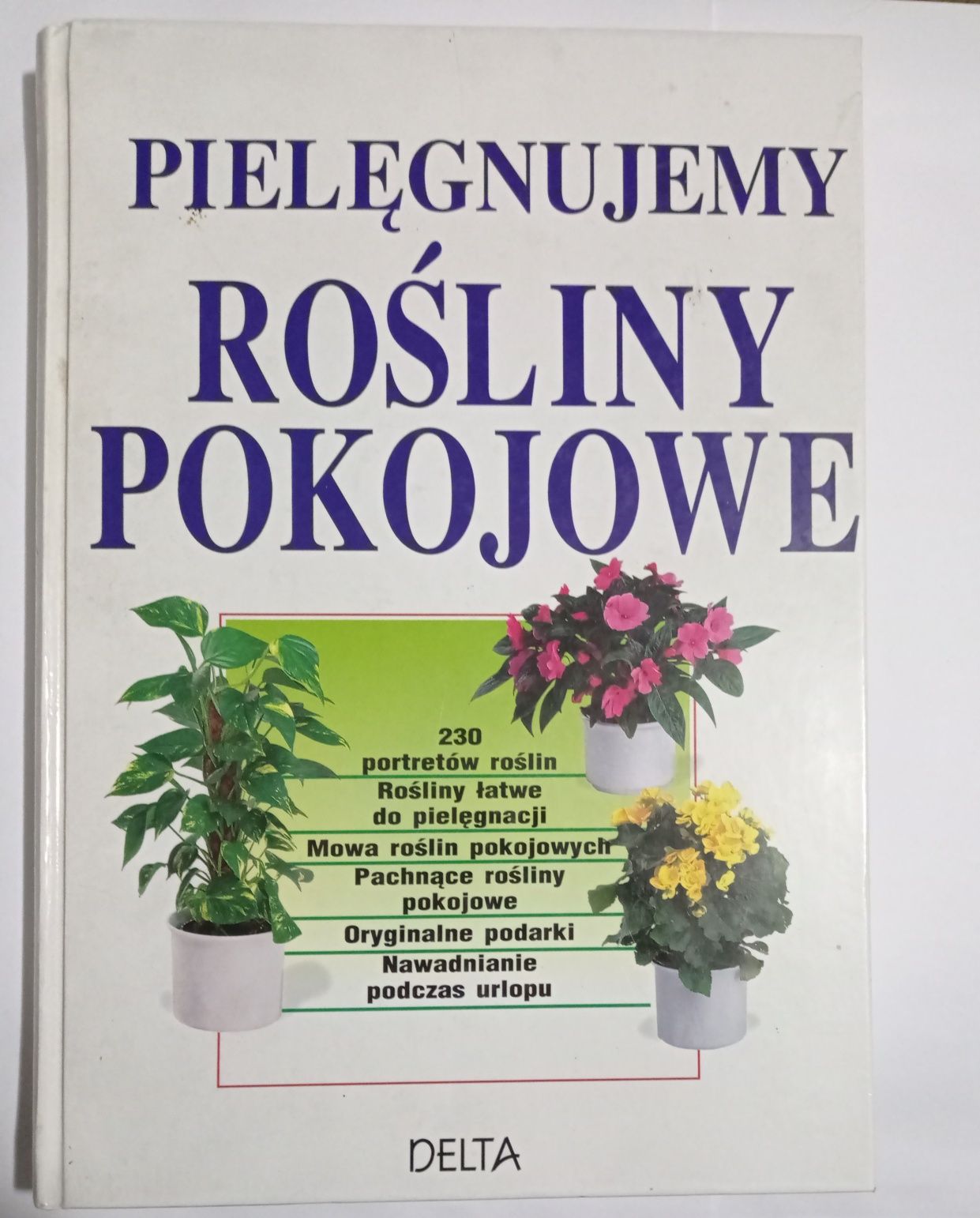 Pielęgnujemy rośliny pokojowe