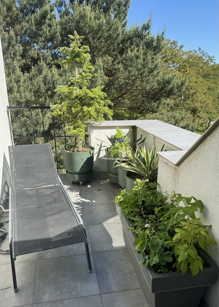 Leżak/leżanka  na balkon, do ogrodu