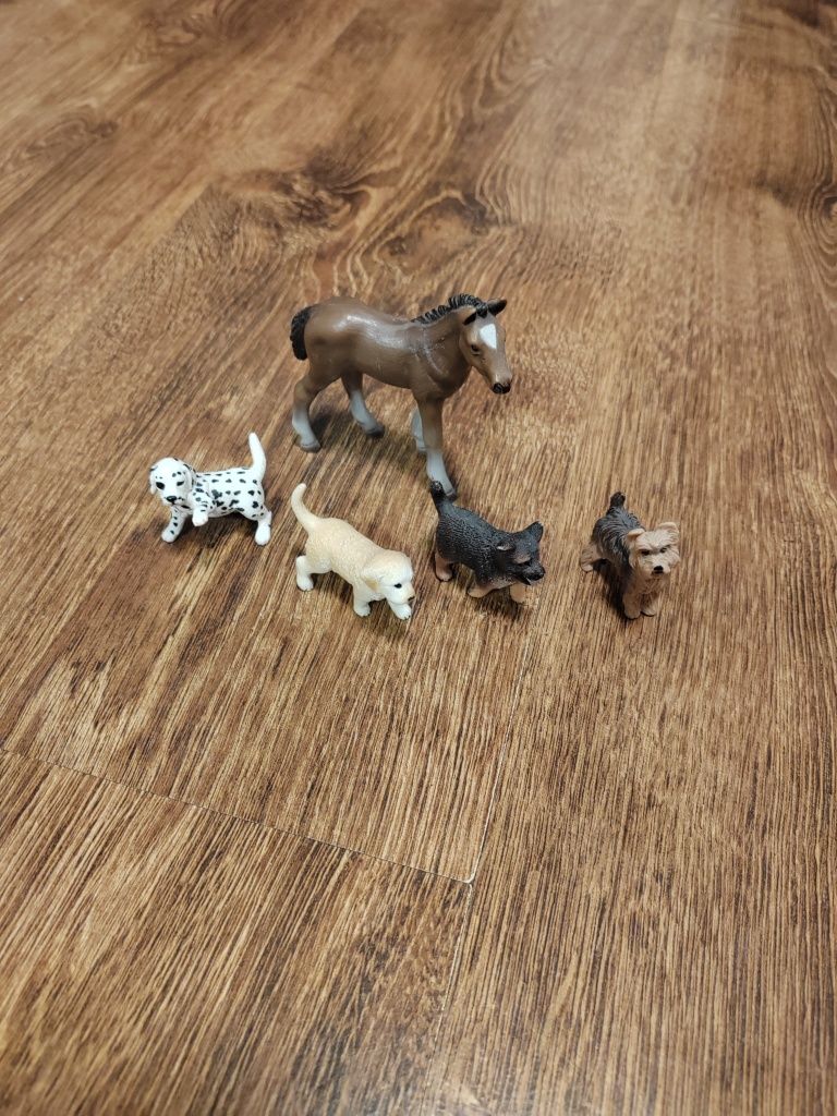 Schleich Figurki koń i pieski 5 sztuk