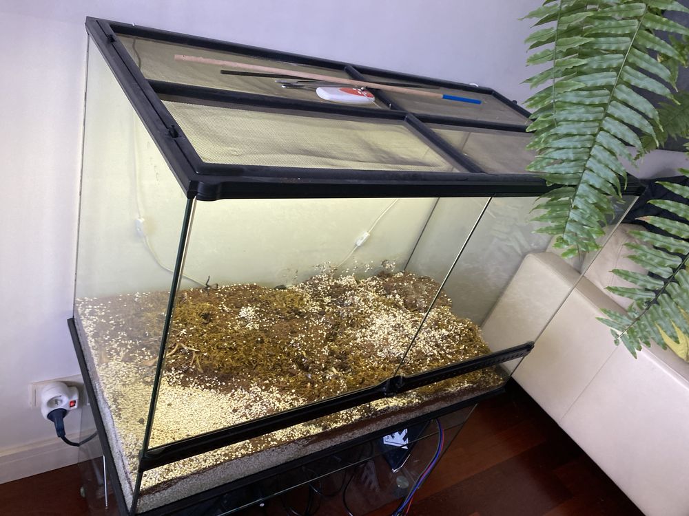 Exo Terra Terrarium szklane LARGE, 90x45x60cm