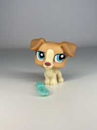 Littlest Pet Shop - Pies Jack Russell #1302 wraz z akcesorium