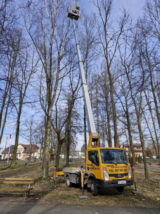 Podnośnik Koszowy Zwyżka Wycinka Drzew Przycinka Gałęzi Montaż Reklam