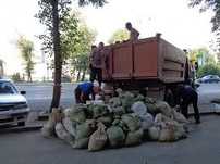Вивоз мусора + грузщики
