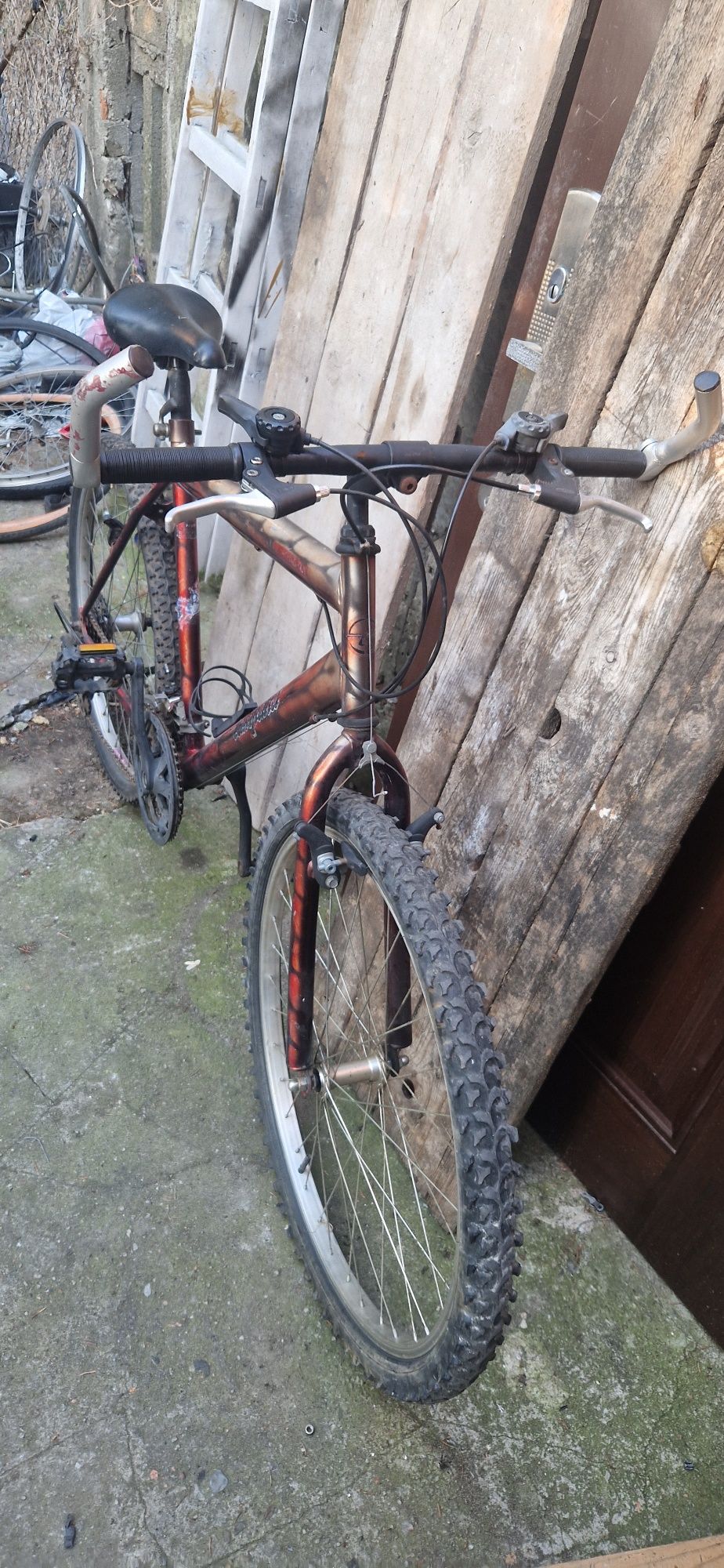 rower lampana 26