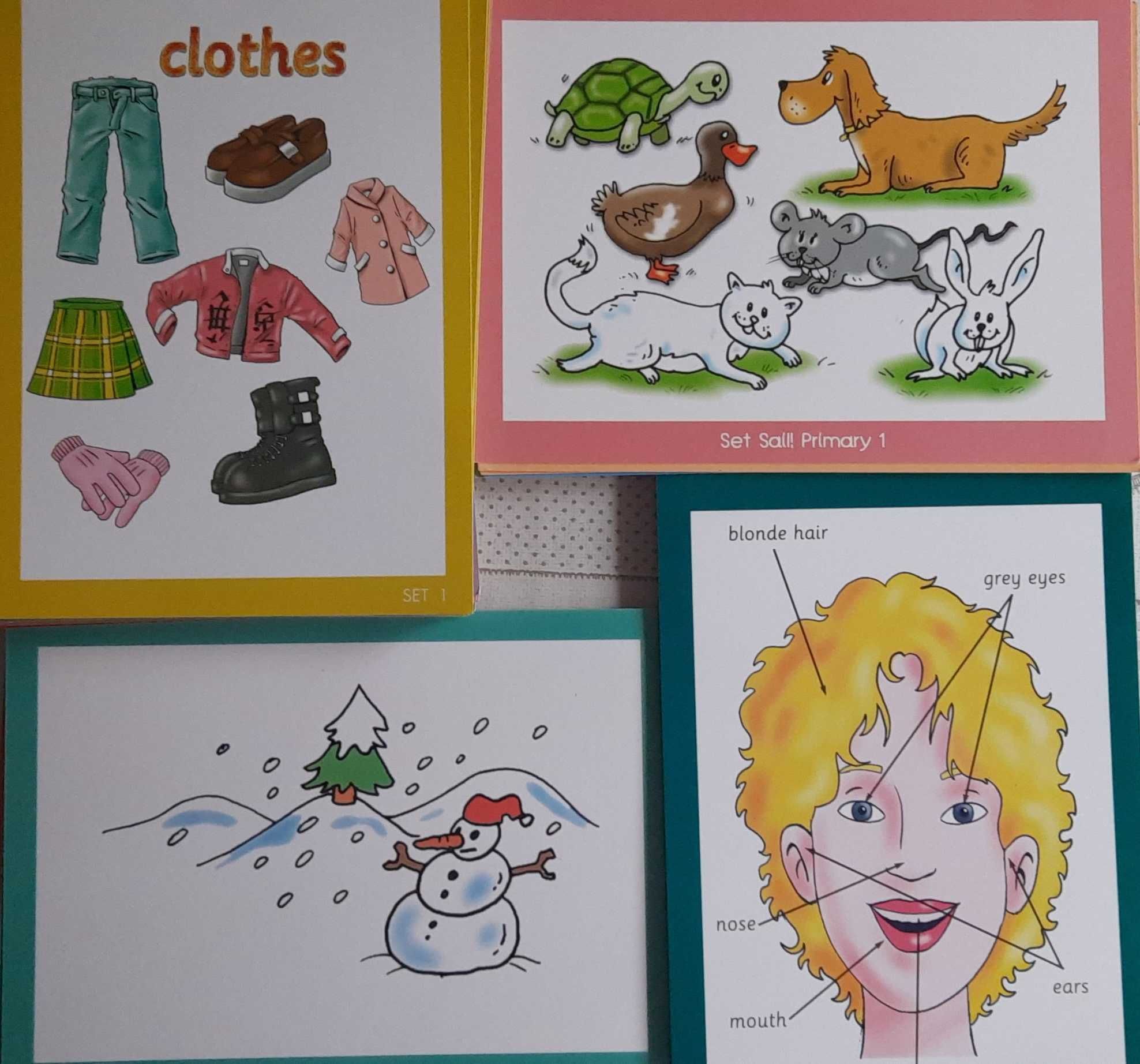 Conjunto de Flashcards