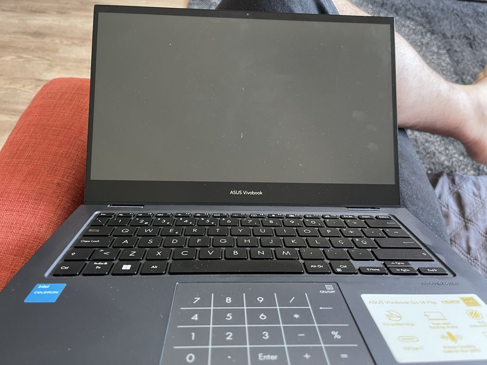 Asus vivobook go 14 flip